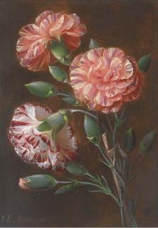 Johan Laurentz Jensen - Carnations