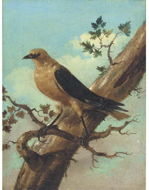 Johan Matthias Wurzer - Bird On A Branch