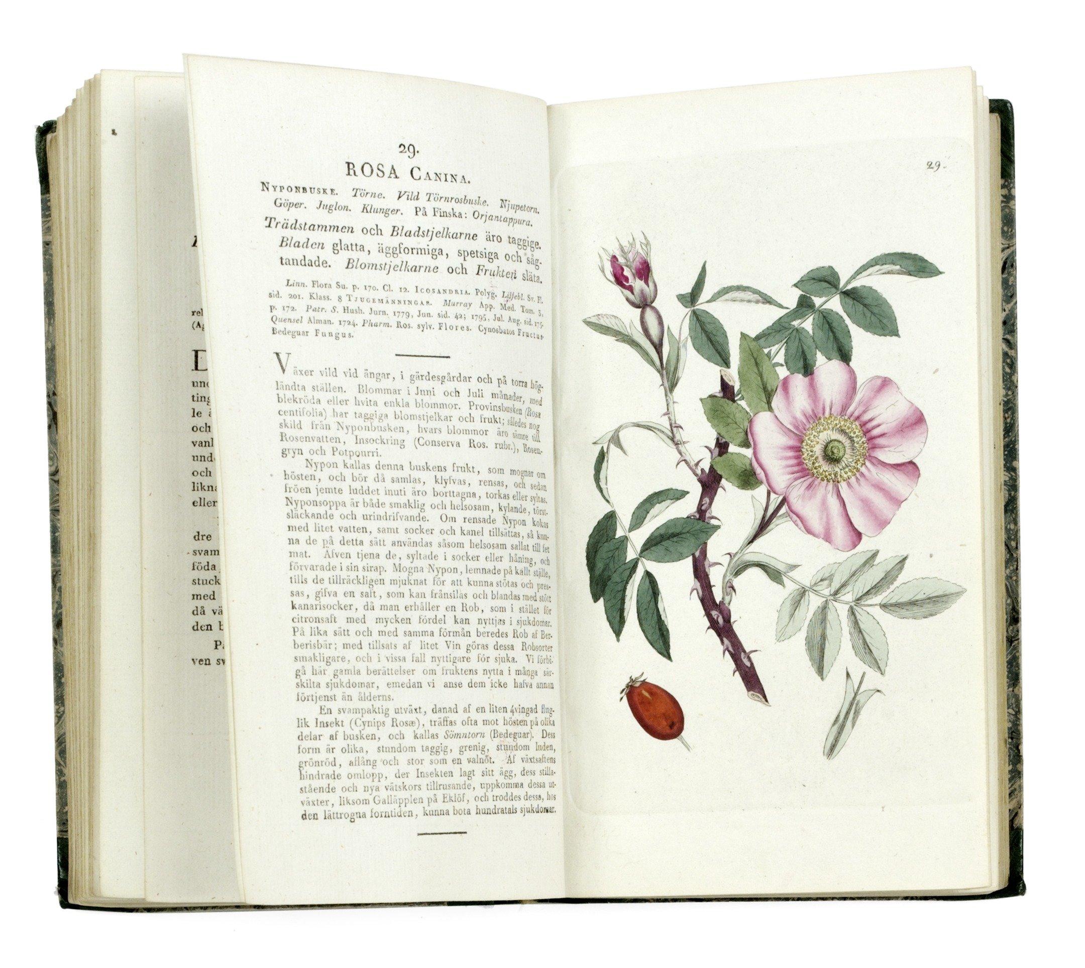 Johan Wilhelm Palmstruch - SVENSK BOTANIK. 1-11[all published].