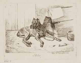 Johann Adam Klein - 2 Bll.: Philax.