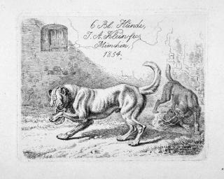 Johann Adam Klein - 21 Bll.: Verschiedene Tierdarstellungen und Fuhrwerke.