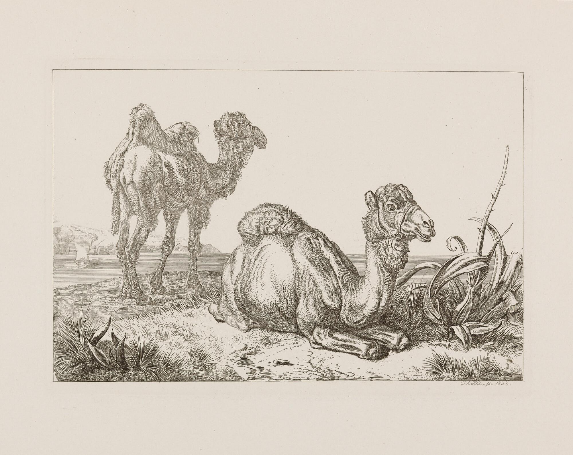 Johann Adam Klein - 56 Bll.: Druckgraphik.