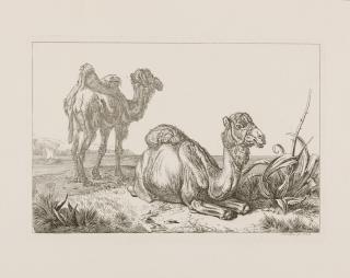 Johann Adam Klein - 56 Bll.: Druckgraphik.