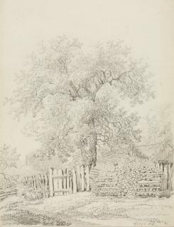 Johann Christian Klengel - Baumstudie mit Blick auf ein kleines Gehöft.