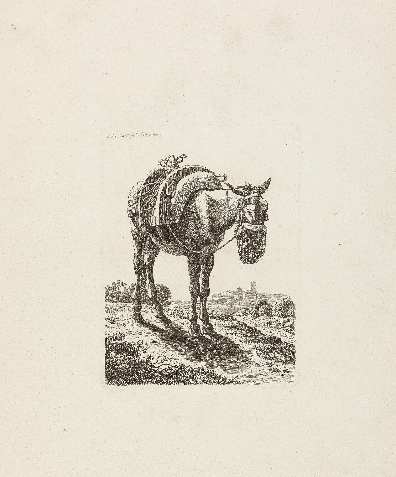 Johann Christian Reinhart - 6 Bll.: Aus der zweiten Tierfolge.