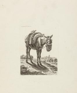 Johann Christian Reinhart - 6 Bll.: Aus der zweiten Tierfolge.