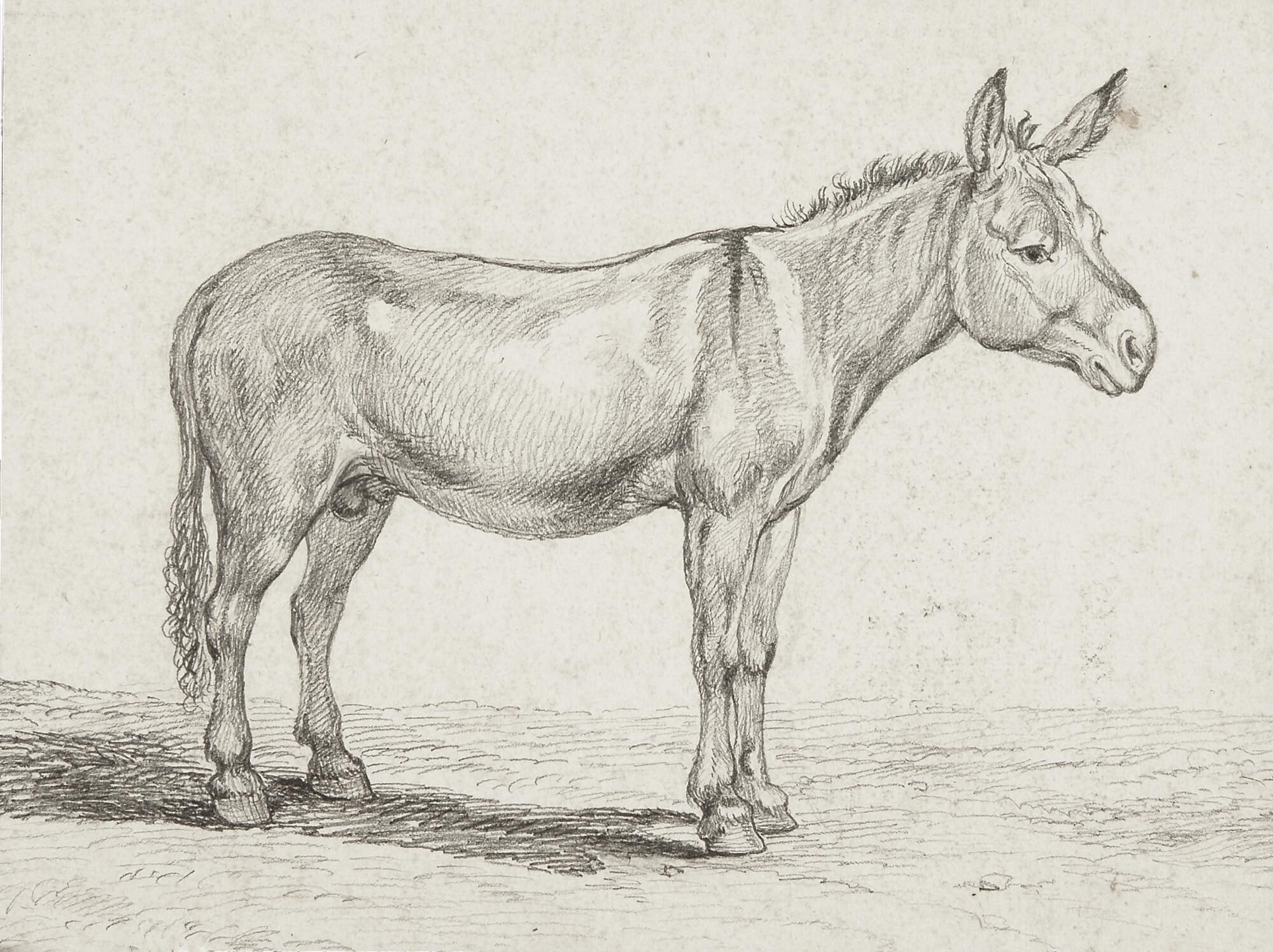 Johann Christian Reinhart - Stehender Maulesel nach rechts.