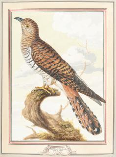 Johann Christian von Mannlich - „Le Coucou“ (Kuckuck)