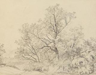 Johann Christoph Erhard - 4 Blätter: Lanschaftsstudien