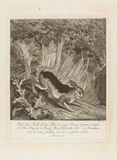 Johann Elias Ridinger - 12 Bll. der Folge: Genaue und wundersame Vorstellung