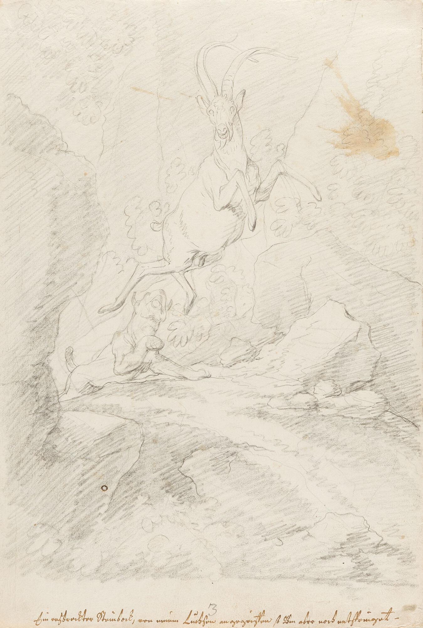 Johann Elias Ridinger - 2 Bll.: „Der Steinbock wird erschreckt.“ – „Der listige Luchs“.