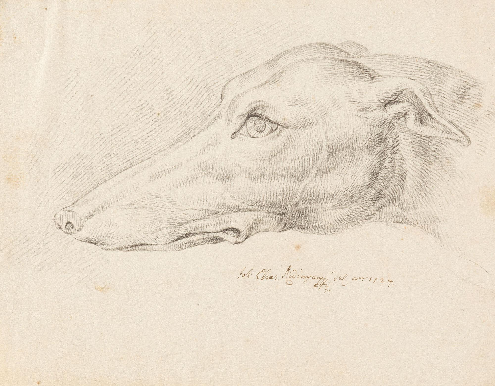 Johann Elias Ridinger - 3 Bll.: Entwurfszeichnungen zu Hunden und Katzen.