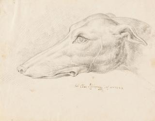 Johann Elias Ridinger - 3 Bll.: Entwurfszeichnungen zu Hunden und Katzen.