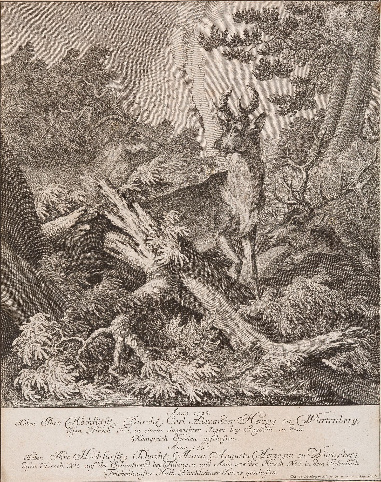 Johann Elias Ridinger - 3 Bll.: Hirsche.