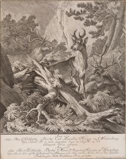Johann Elias Ridinger - 3 Bll.: Hirsche.
