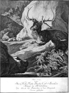 Johann Elias Ridinger - 7 Bll. : Hirsche, von Fürsten erlegt.