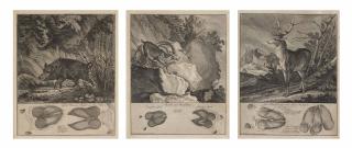 Johann Elias Ridinger - A collection of ten prints from Abbildung der jagtbaren Thiere mit derselben angefugten Fahrten und Spuhren