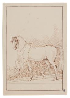 Johann Elias Ridinger - A horse