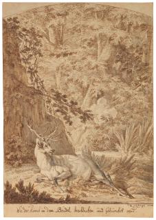 Johann Elias Ridinger - A stag in a forest being shot