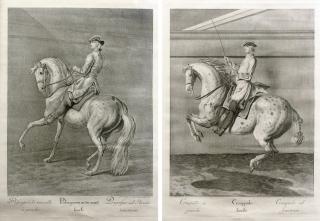 Johann Elias Ridinger - Comprising a pair of etchings depicting riders performing classical equitation