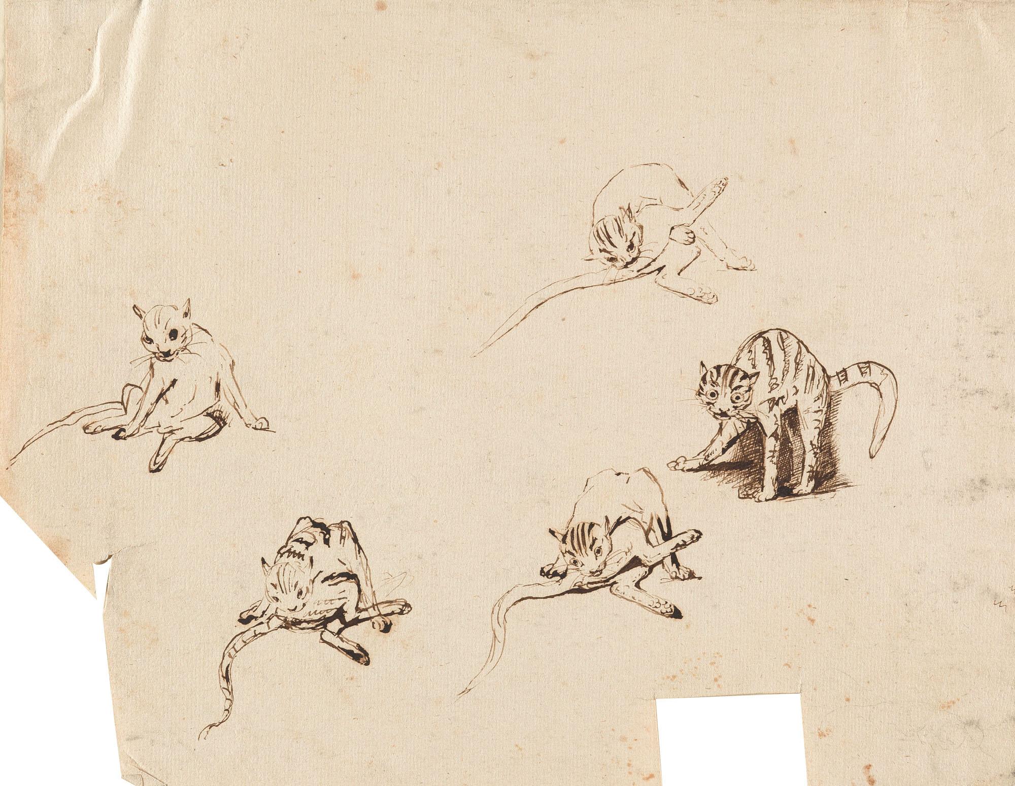 Johann Elias Ridinger - Entwurfszeichnung zum „Wilden Kuder“.