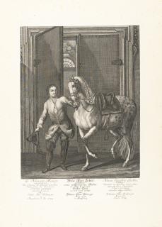 Johann Elias Ridinger - Folge von 18 Bll.: Neue Schul vorstellend einen vollkommenen Reuter in allen Lectionen (inkl. Titelkupfer)