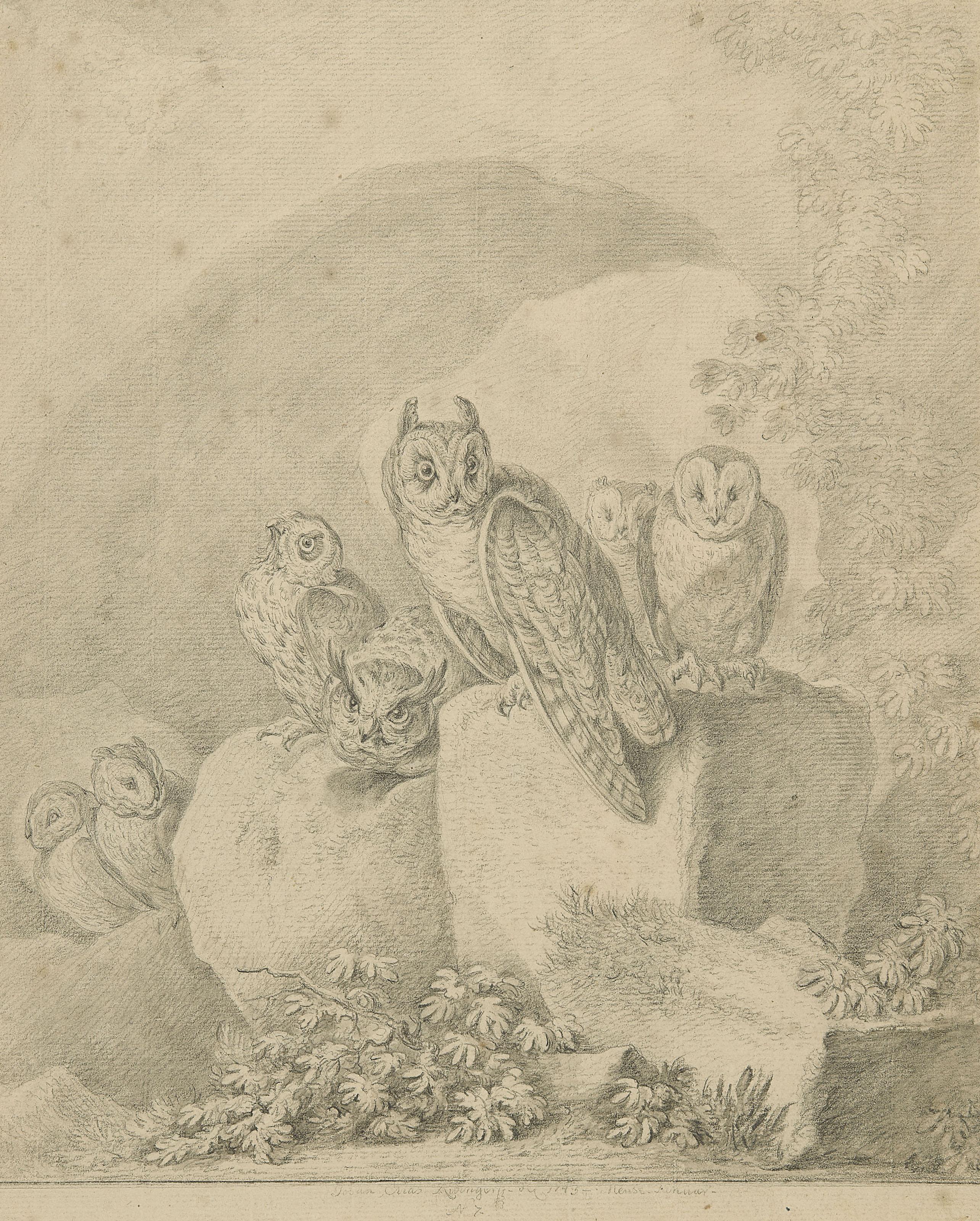Johann Elias Ridinger - Grotte avec hiboux et chouettes perchés sur un rocher