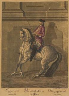 Johann Elias Ridinger - Scènes de dressage