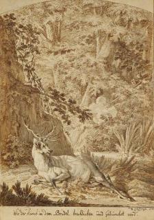 Johann Elias Ridinger - Wie der Hirsch in dem Brudel beschlichen und gebürschet wird