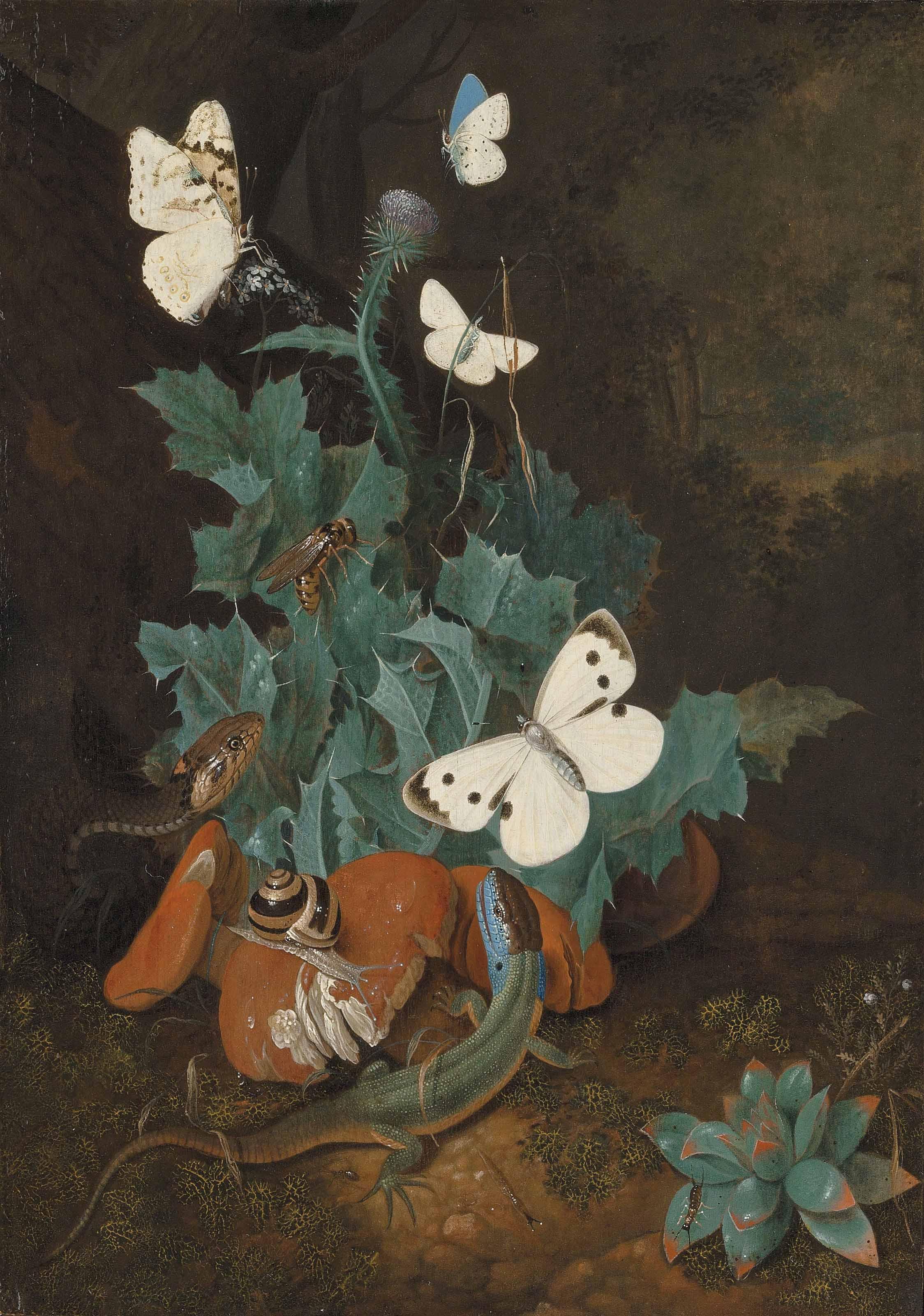 Johann Falch - A forest floor with a lizard, a snake and a snail among weeds