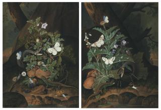 Johann Falch - Two Forest Floors With A Snake, Lizard, Butterflies And Snails Amongst Weeds On A Riverbank