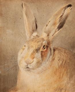 Johann Fischbach - Hase