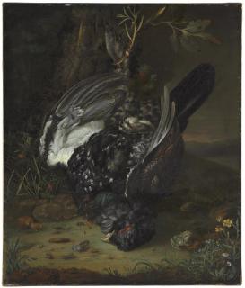 Johann Friedrich Von Grooth - A Blackcock In A Wooded Landscape