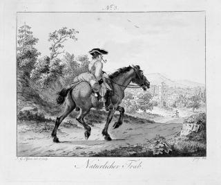 Johann Georg Pforr - Folge von 16 Bll.: Die Reiter oder die Reitschule.