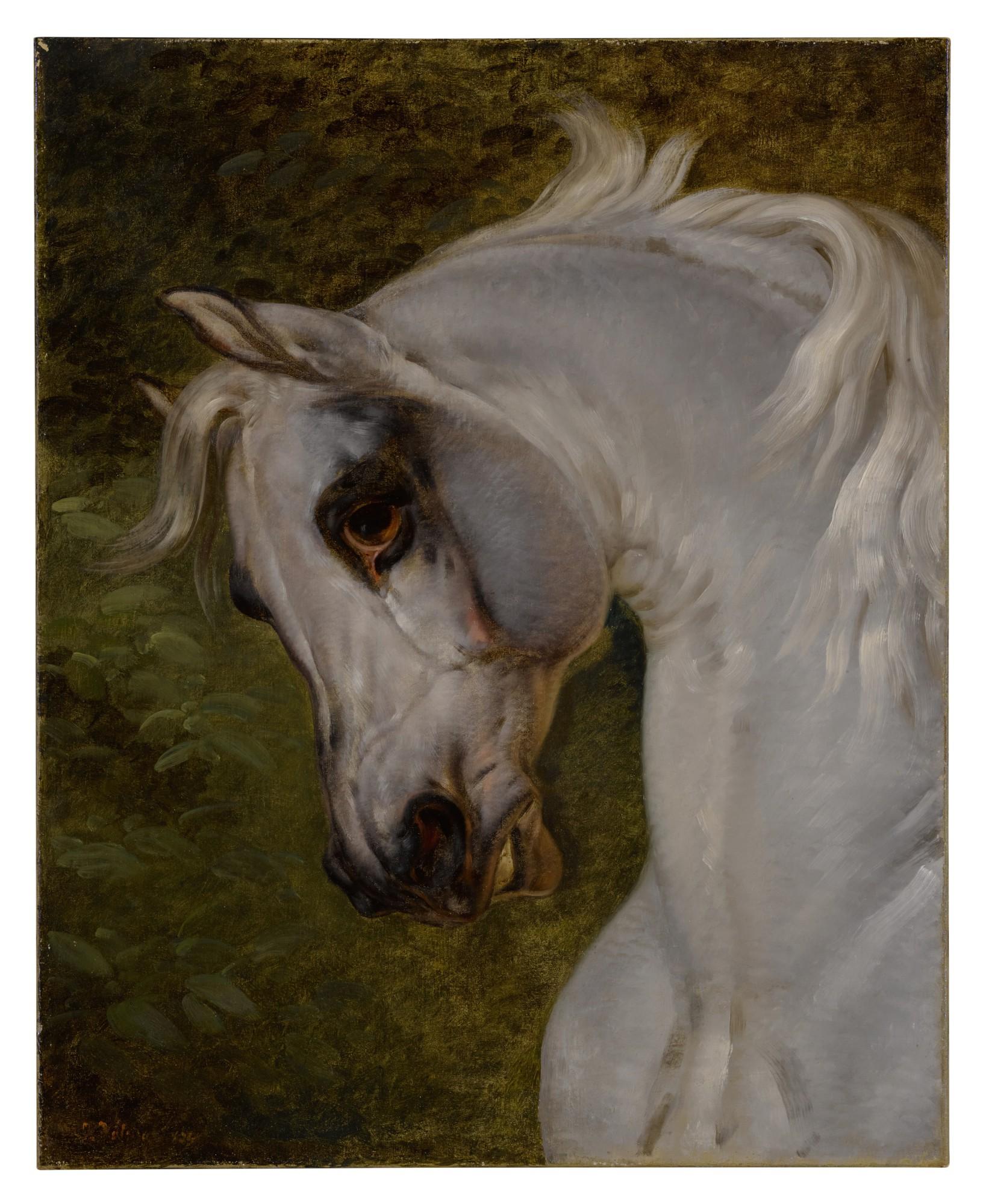 Johann Georg Volmar - Head of a horse