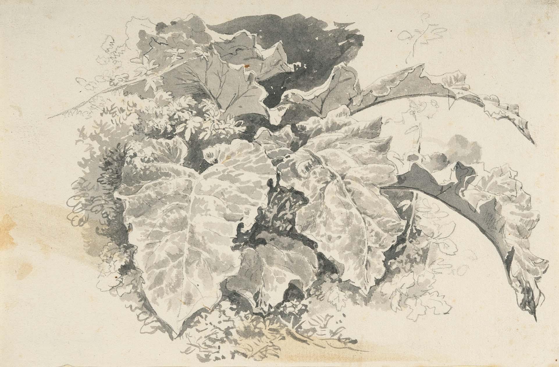 Johann Georg von Dillis - 2 Bll.: Huflattich – Italienische Landschaft