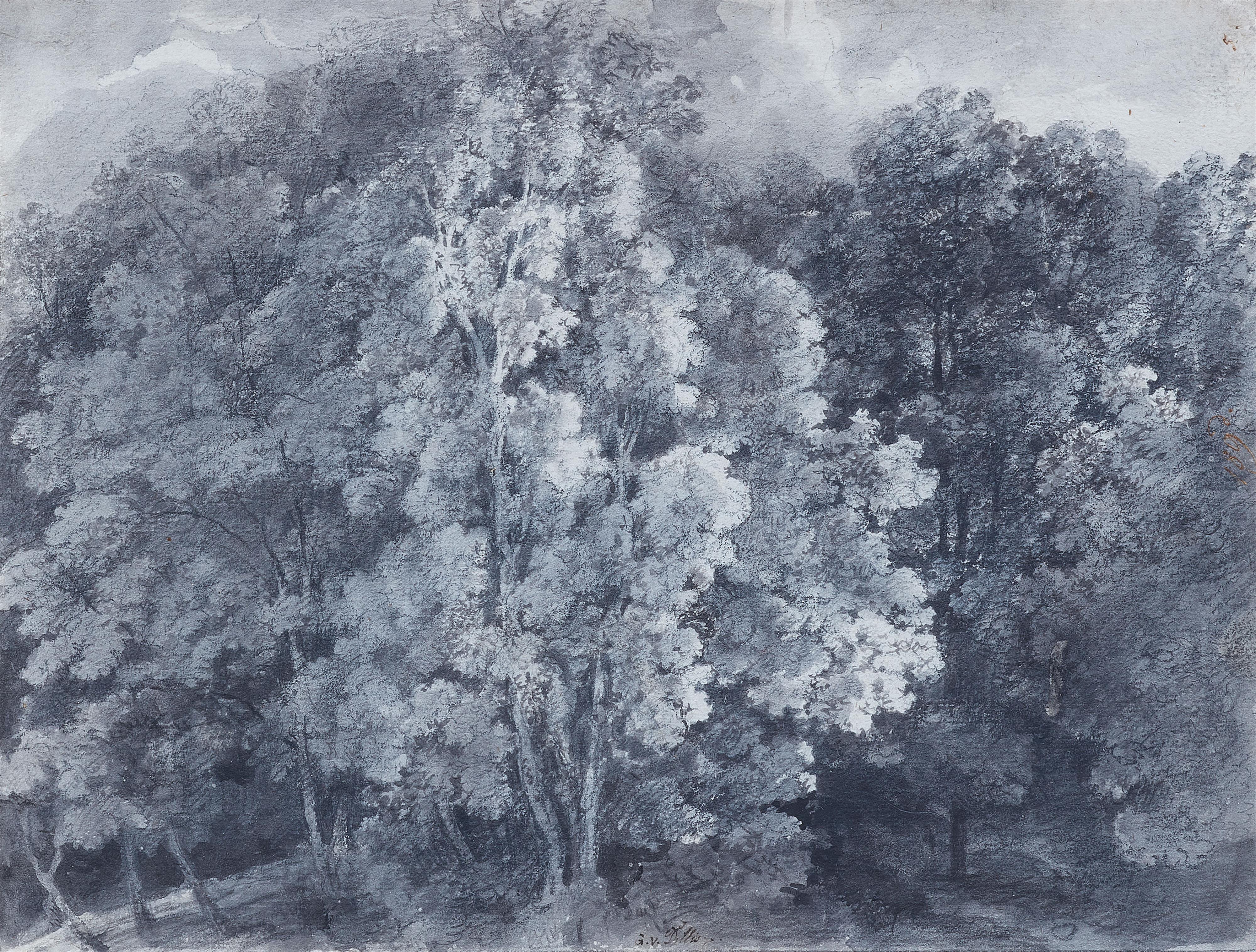 Johann Georg von Dillis - Dichtes Waldstück