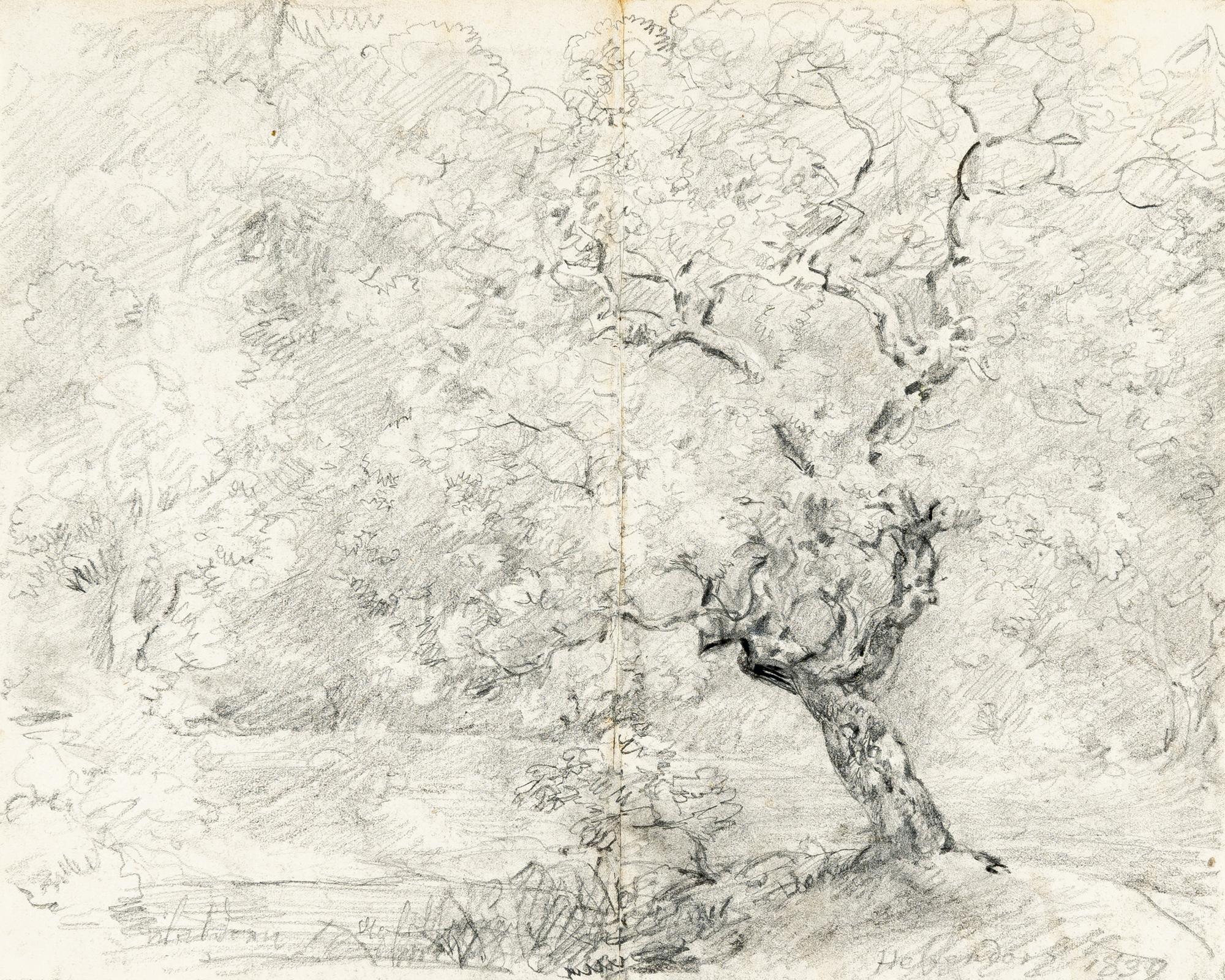 Johann Georg von Dillis - Im Helfendorfer Forst