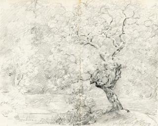 Johann Georg von Dillis - Im Helfendorfer Forst