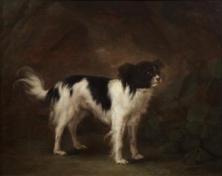 Johann Gottlieb Hackert - A spaniel in a landscape
