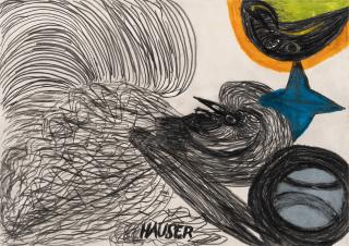 Johann Hauser - Vogel