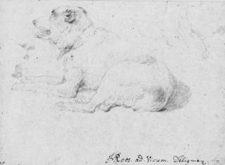 Johann Heinrich Roos - A Dog Lying Down, With A Partial Subsidiary Study Of His Forequarters In The Opposite Direction