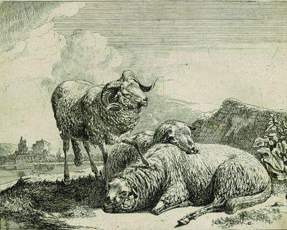 Johann Heinrich Roos - Schafbock links stehend mit einem Huf auf einem liegenden Schaf