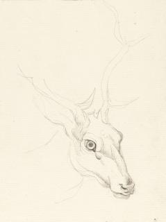 Johann Heinrich Wilhelm Tischbein - 2 Bll.: Ein Hirsch – Ein Bär.