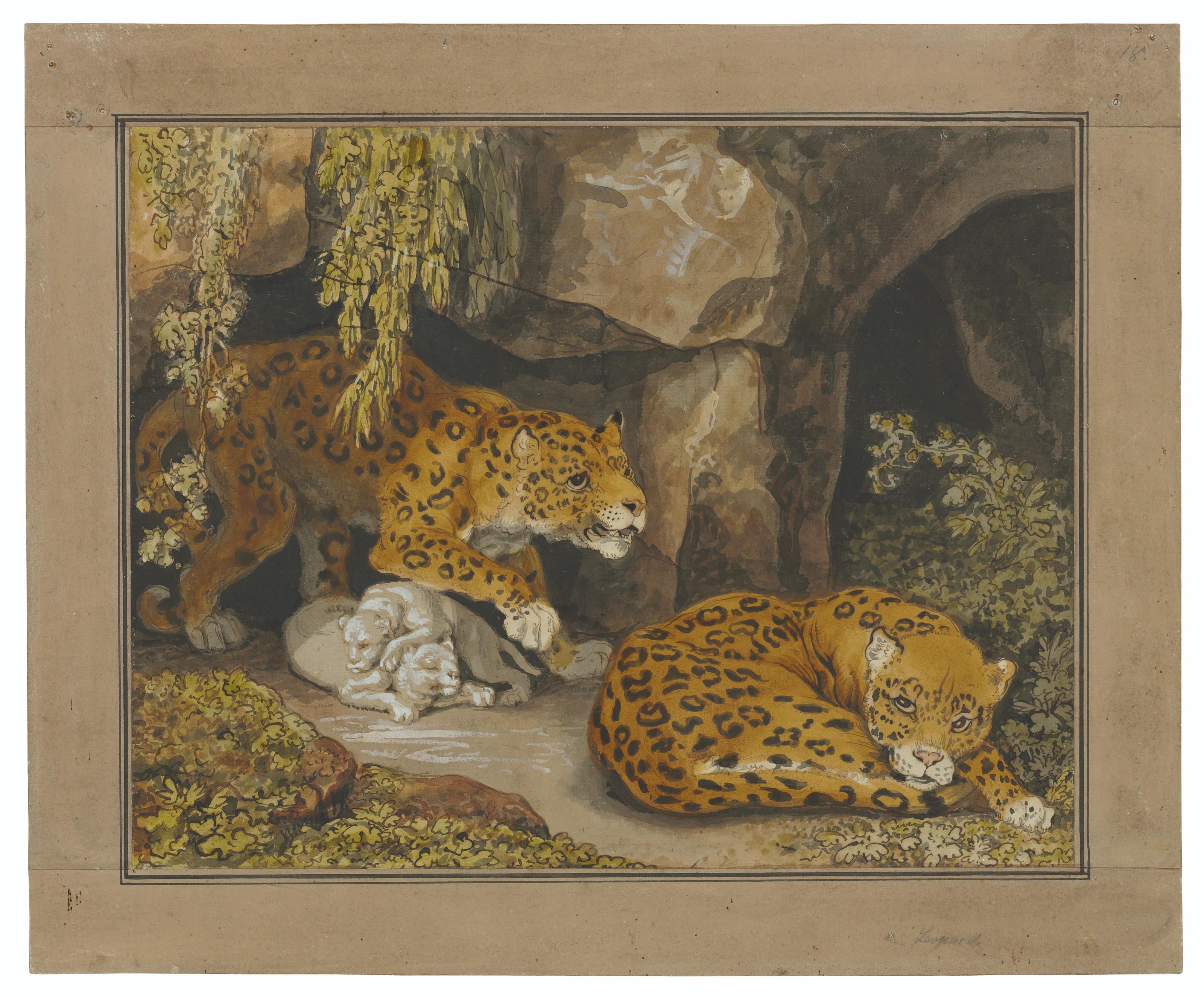 Johann Heinrich Wilhelm Tischbein - A leopard and leopardess with their cubs at the entrance of a cave