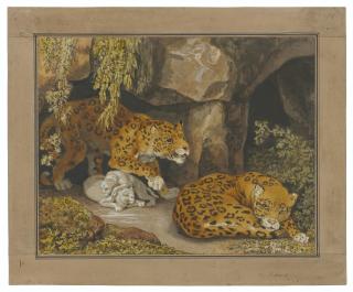 Johann Heinrich Wilhelm Tischbein - A leopard and leopardess with their cubs at the entrance of a cave