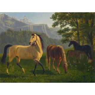 Johann Jakob Biedermann - Pferde Vor Landschaft Horses In Landscape
