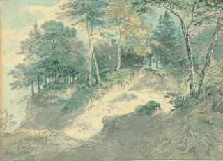 Johann Jakob Dorner d. J. - Besonntes Waldstück im oberbayerischer Landschaft.