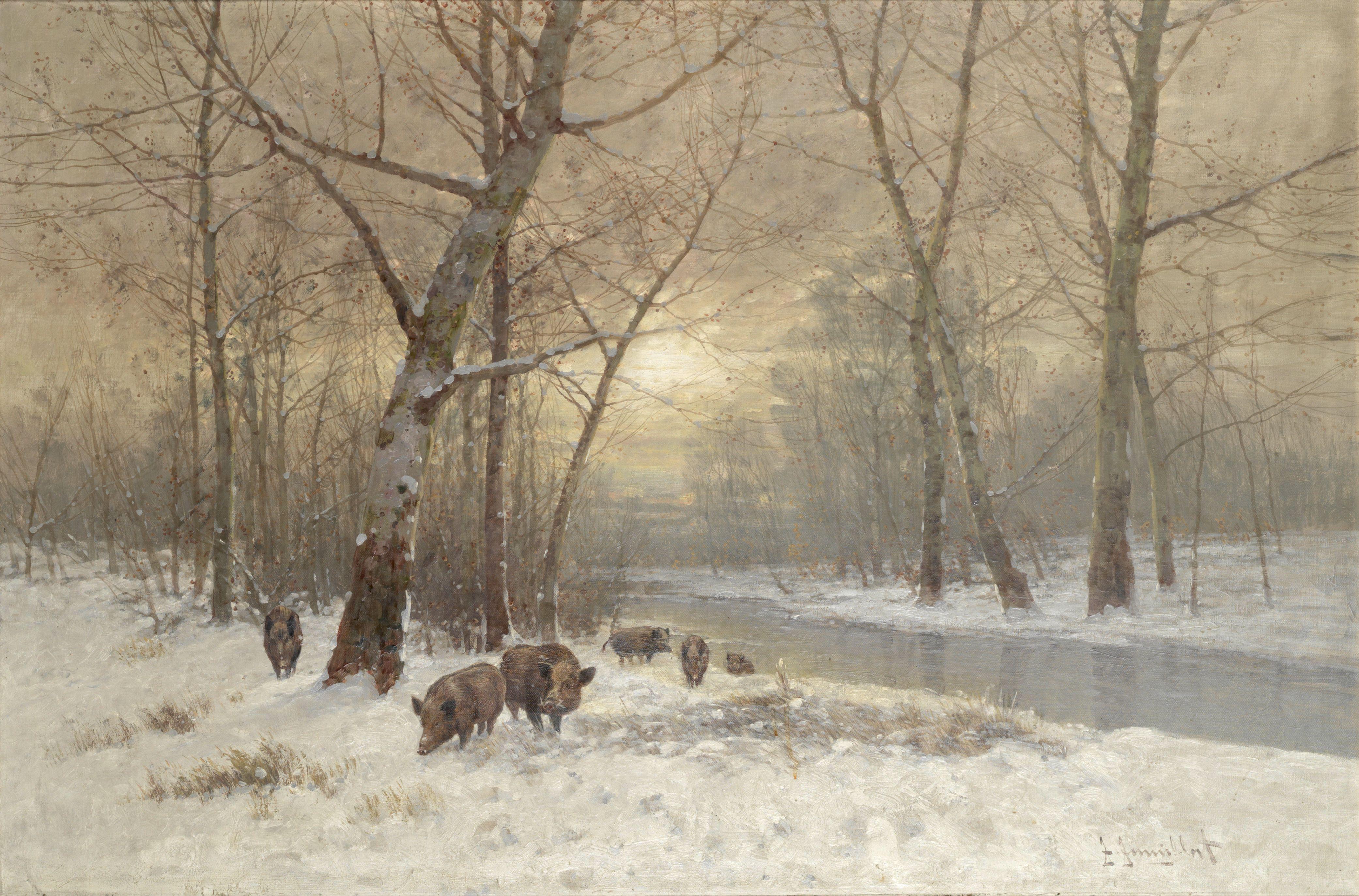 Johann Jungblut - Wild boar in the snow