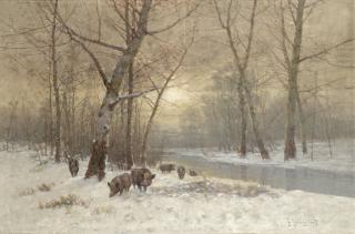 Johann Jungblut - Wild boar in the snow